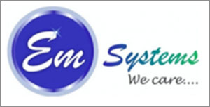 EM Systems