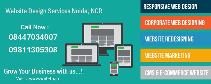 Website Design Noida Sector 41